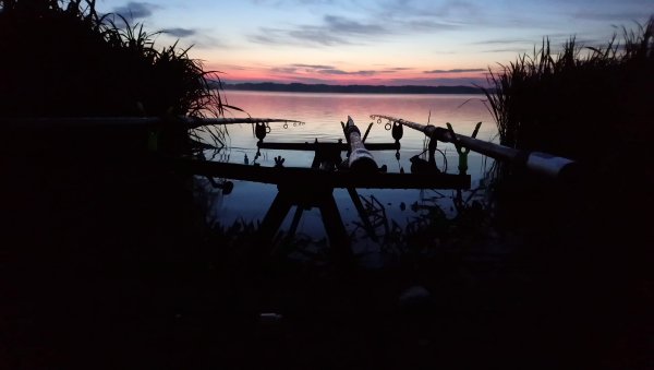 DSC_0471.JPG