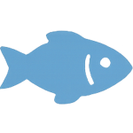 🐟 Новачок на березі