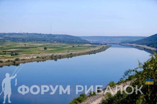 Дністер в Одеській області — фото річки та місць для рибалки