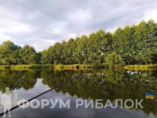 Платні водойми біля Львова — фото ставків та місць для рибалки