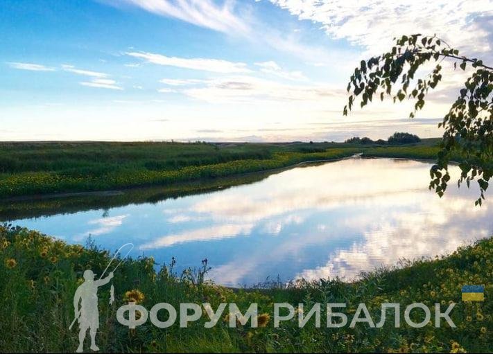 Платні ставки Житомирської області — фото водойм та місць для рибалки
