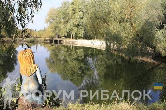 Озеро Підкова в Рожнах — фото водойми, місць для рибалки та уловів